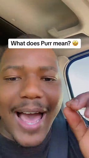 Understanding the Meaning of Purr