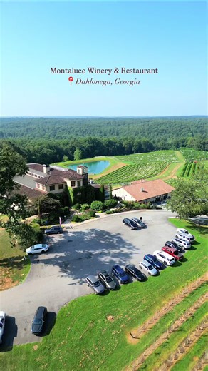 Explore Montaluce Winery: A Taste of Tuscany in Dahlonega