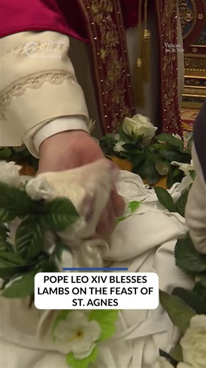 Pope Leo XIV blessed two lambs at the Vatican Jan. 21 on the feast of St. Agnes, a tradition tied to the pallium — the woolen band worn by new archbishops as a sign of unity with the pope. The lambs are raised by Trappist monks outside Rome and are kept in baskets during the rite. Benedictine nuns in Rome later use the wool to make the palliums, which are presented to new archbishops during a June 29 liturgy for the feast of Sts. Peter and Paul. 🎥 Vatican Media | Catholic News Service