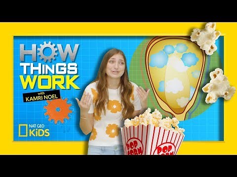 How Popcorn Works | How Things Work with Kamri Noel