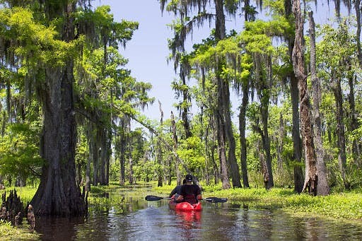 New Orleans Kayak Tours | New Orleans Kayak Swamp Tours