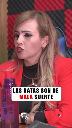 Significado de las Ratas en Casa: Mitos y Realidades