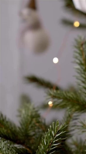 Merry Christmas from all of us at JR Cigars Clayton. We will be open 8am-4pm on Christmas Eve and closed Christmas Day. We will return Friday December 26 for regular business hours 8-5:30. Best Selection. Best Prices. Even Better Service. JR Cigars Clayton 4 N Central Clayton MO 314-727-5667 jrcigars84@gmail.com Free Curbside Pickup Free Shipping w $100 Order | JR Cigars-Clayton