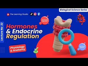 Hormones & Endocrine Regulation | Endocrine Glands, Hormone Signaling & Homeostasis | Lec 22 | Bio
