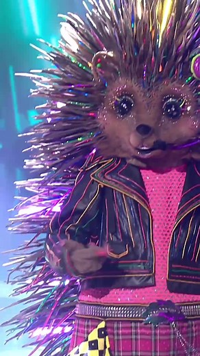 Ein richtiger Popstar unser leuchtender Igel! 🤩 Wir haben den Auftritt geliebt und ihr? 💖 #maskedsinger #TMSP7