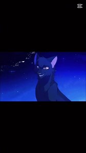 Feathertail and Crowfeather Edit❤️ Warrior Cats/ Wanna be yours