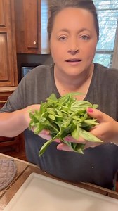 Do you ❤️ Basil as much as I do? It smells like summer to me. I’ll show you how I make my basil oil next…stay tuned. #basiloil #freshbasil #gardening | Tee’s Kitchen