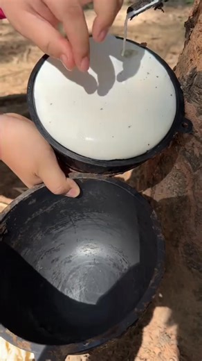 Homeowners are in disbelief that they can compare window replacement quotes and savings through this site. Get your free quote today! | The Home Services Guide