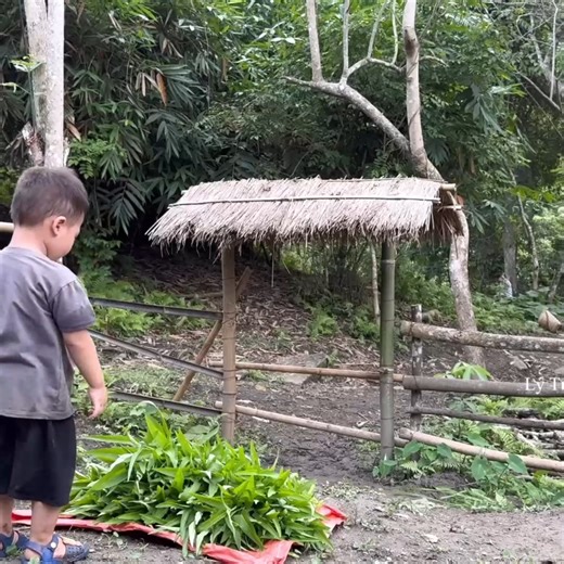 24K views · 649 reactions | The kind man and David drank milk for the first time life of a 17 year old single mother, ly tu ca | TTN24 | Facebook