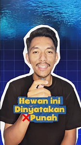 Pari Jawa (Java Stingaree): Biota Laut Indonesia Pertama yang Dinyatakan Punah #ikan #biotalaut