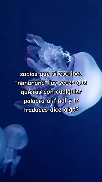 nanananana manzana (es un ejemplo)