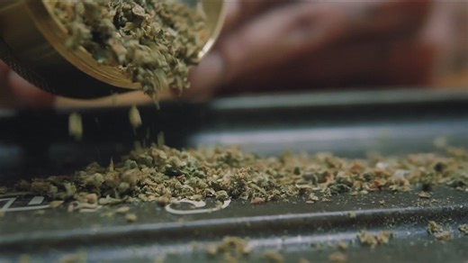 WNY's first legal weed store is only weeks away from opening in downtown Buffalo