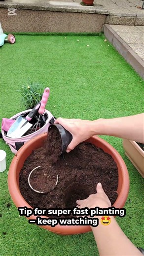 How to Plant Flowers in a Pot 🌸 Easy Step-by-Step Guide (Beginner Friendly)