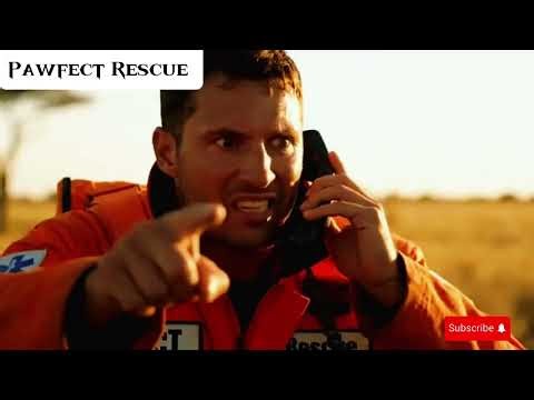 AI Python Attack Story | Villagers Save Tiger (AI Video)