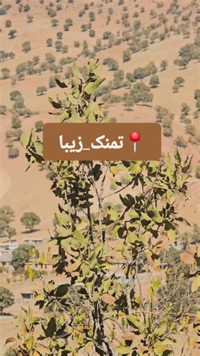 ‎روستای تمنک‎ | ‎روستای زیبای تمنک ...💫💛 #تمنک #یاسوج #آهنگ_لری #طبیعت #فرشید_حکمتی #شبلیز...‎ | Instagram