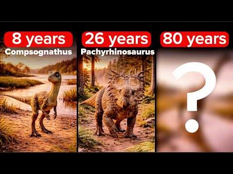 How Long Dinosaurs Lived | Dinosaur Lifespan Ranking from Shortest to Longest