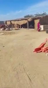 32K views · 233 reactions | Asw land sale for GaDaP town Full ready to move 1784 gaz 3 kv solar system 320 boring for water 4 rooms Bathroom Boundary wall gated Water tank Animal shower room Hodi for animal drinking water 2 hrs power summer pump Agriculture land form 7 2044 lease all documents clear Demand 55 lacs for contact Abdul rauf 0334-2416724 | AR Maani | Facebook