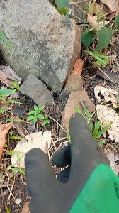 21K views · 145 reactions | Treasure hunt direct under spot indication markings #fbreels #reels #virals #treasure #everyone | Jm D Compass | Facebook