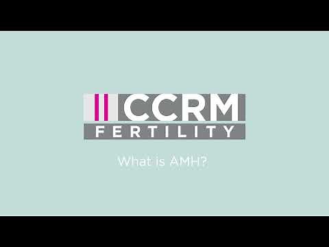 What is an AMH Test?