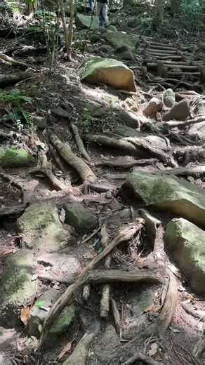 筑波山登山🏔️
