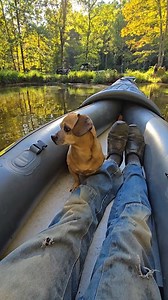 Minion helps test the boat for leaks #narrowayhomestead #theoneandonlyminion #pond #boating #farmdog | Nate Petroski
