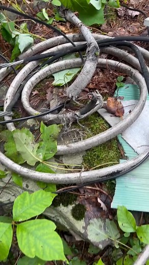 This is why inspectors recommend replacing older electrical service entrance cables | Inspection Therapy