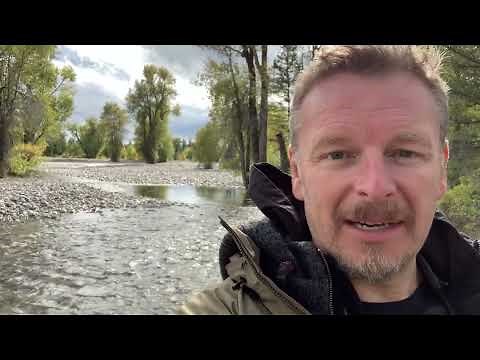 Grizzly Bear 399's Backyard with Chris Morgan