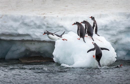 Another Linux distro has dropped KDE Plasma, and I'm not surprised to see why