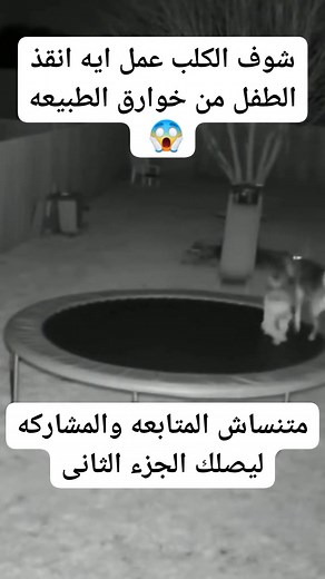 اتفرج للاخر😱 #الجميع #تعليمى | Mahmoud Agnabii