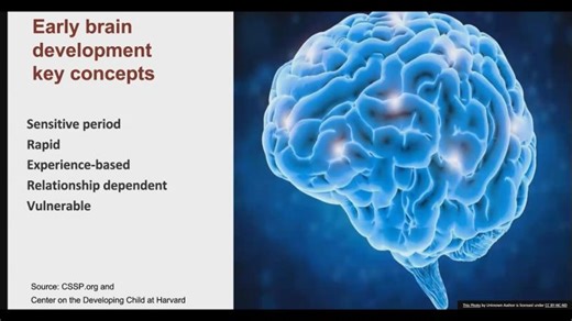 Effects of ACEs on Early Relational Health Clinical Considerations | ROR IL April 2026 Webinar | Reach Out and Read