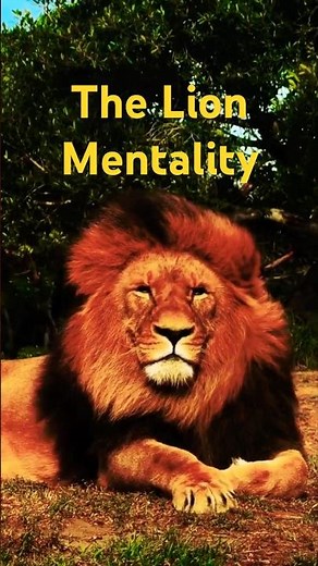 The Lion Mentality: Dominate Every Challenge 🦁