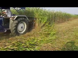 Reaper Machine - Crop reaping and cutting machine (makka,jwar,bajra,gehu,jou)9460705719