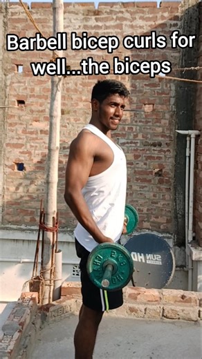 perfect form of Barbell bicep curls📌#shorts #discipline #homeworkout #gym