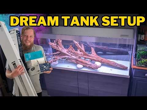 The 600 litre community aquarium. Unboxing & Set up!