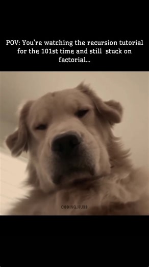 Coding Hubb on Instagram: "Still Stuck 😭 . . . #recursion #function #java #feed #fyp #computerscience"