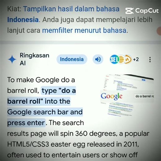 it's real (DO A BARREL ROLL) google search {2/10}