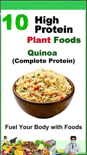 Top 10 High Protein Plant Foods - Top 10 Plant-Based Protein Sources