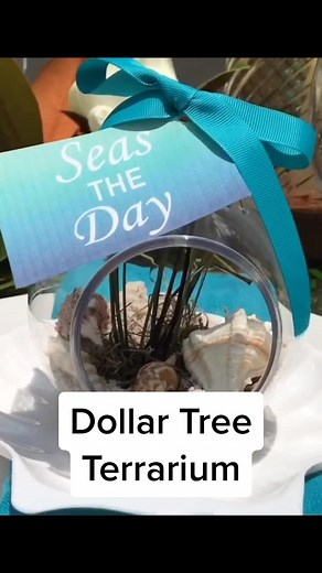 DOLLAR TREE TERRARIUM #GardenProject #terrarium #diyproject #dollartree #dollartreediy #fyp #homedecor