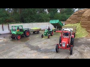 2025 Oldtimer corn silage