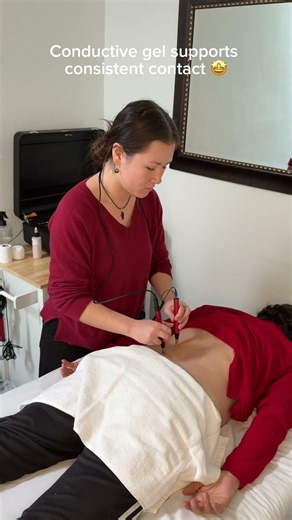 Grid Protocol Explained | Testing Impedance with the Electro-Equiscope® ⚡️