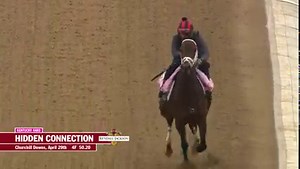 11K views · 964 reactions | One week out from the Kentucky Oaks, contender Hidden Connection breezed 4 furlongs in 50.40 for trainer Bret Calhoun. | Kentucky Derby | Facebook