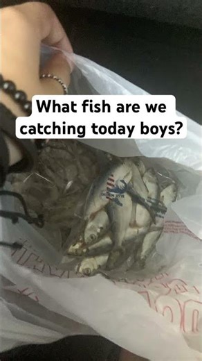 Getting a fish chain (smaller=bigger later) #spongebob #hiphop #rap #music #fishing