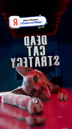 Почему все смотрят на «кота»