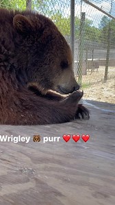 48K views · 1.4K reactions | Single Vision, Inc. on Reels | Facebook