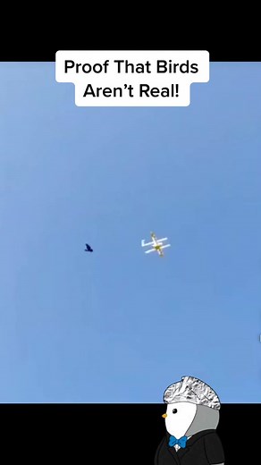 Yeet! #bird #birds #birdsarentreal #birdsarefake #birdsarentrealmovement #military #militarylife #militarytiktok #drone #dronevideo #conspiracy #conspiracytiktok #conspirancytheory #birdconspiracy #government #secret #cia #fbi #atf #area51 #army #navy #airforce #marines #funny #fypage #foryoupage #fypシ゚viral
