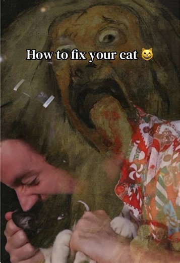 Works everytime! #fyp #kittens #cat #targetaudience #streamer | kittens