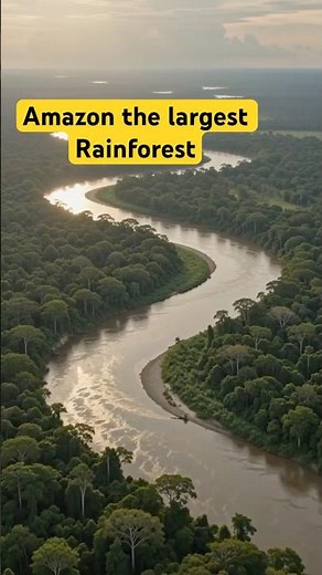 The Amazon Rainforest | Earth’s Largest Tropical Rainforest - Brazil - Peru - Colombia - Bolivia