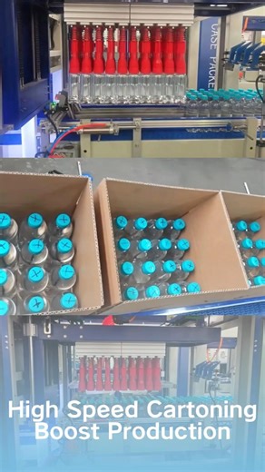 Automatic Grab Type Case Packer: Efficient & Cost‑Saving, Ideal for Your Production Line.