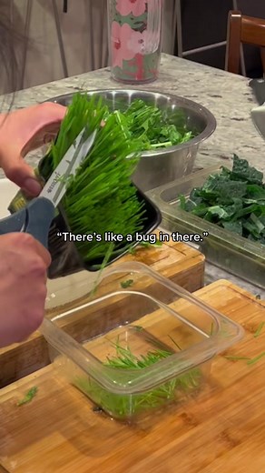 Episode 29: Let’s Feed Cindy’s Dogs! ❤️ | feeding my dogs