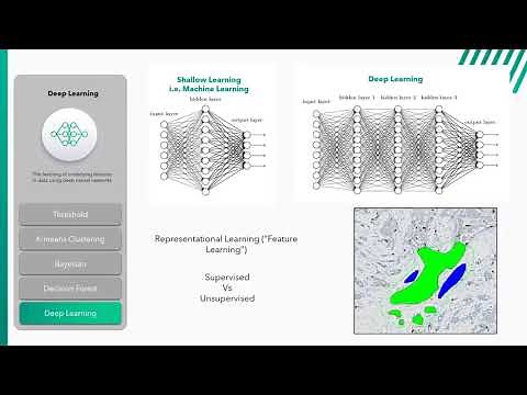 Artificial Intelligence in Digital Pathology
